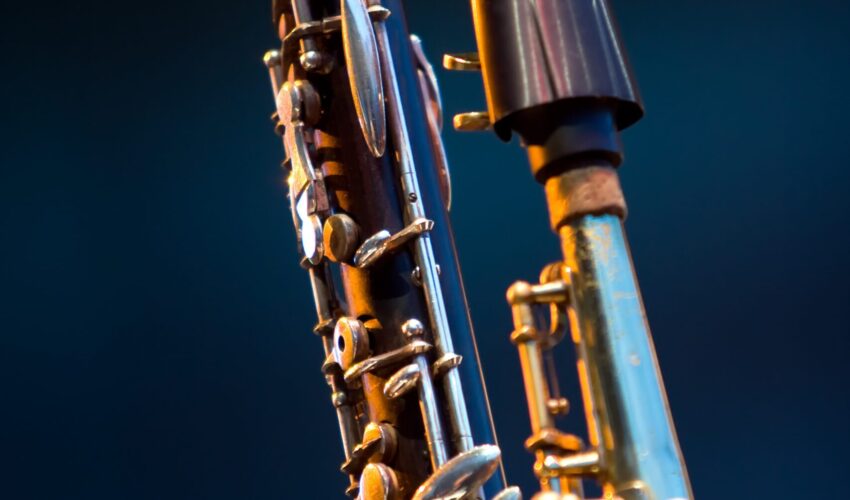 Catalogus-2009-shutterstock_15333100-scaled