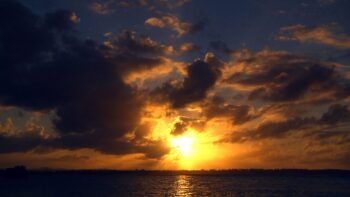 Proin ornare, quam non varius malesuada